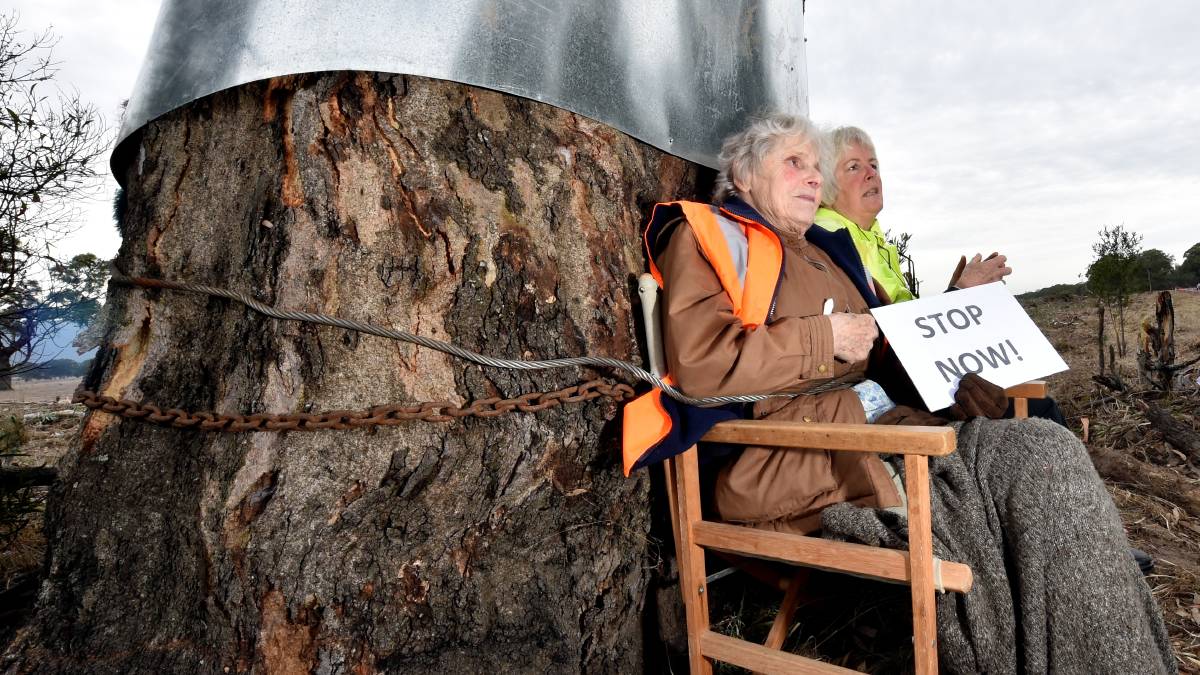 Dois idosos se acorrentaram em uma árvore